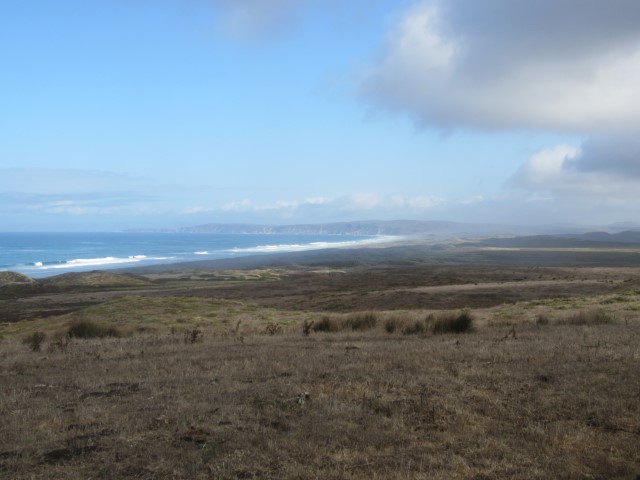 IMG_3100.JPG